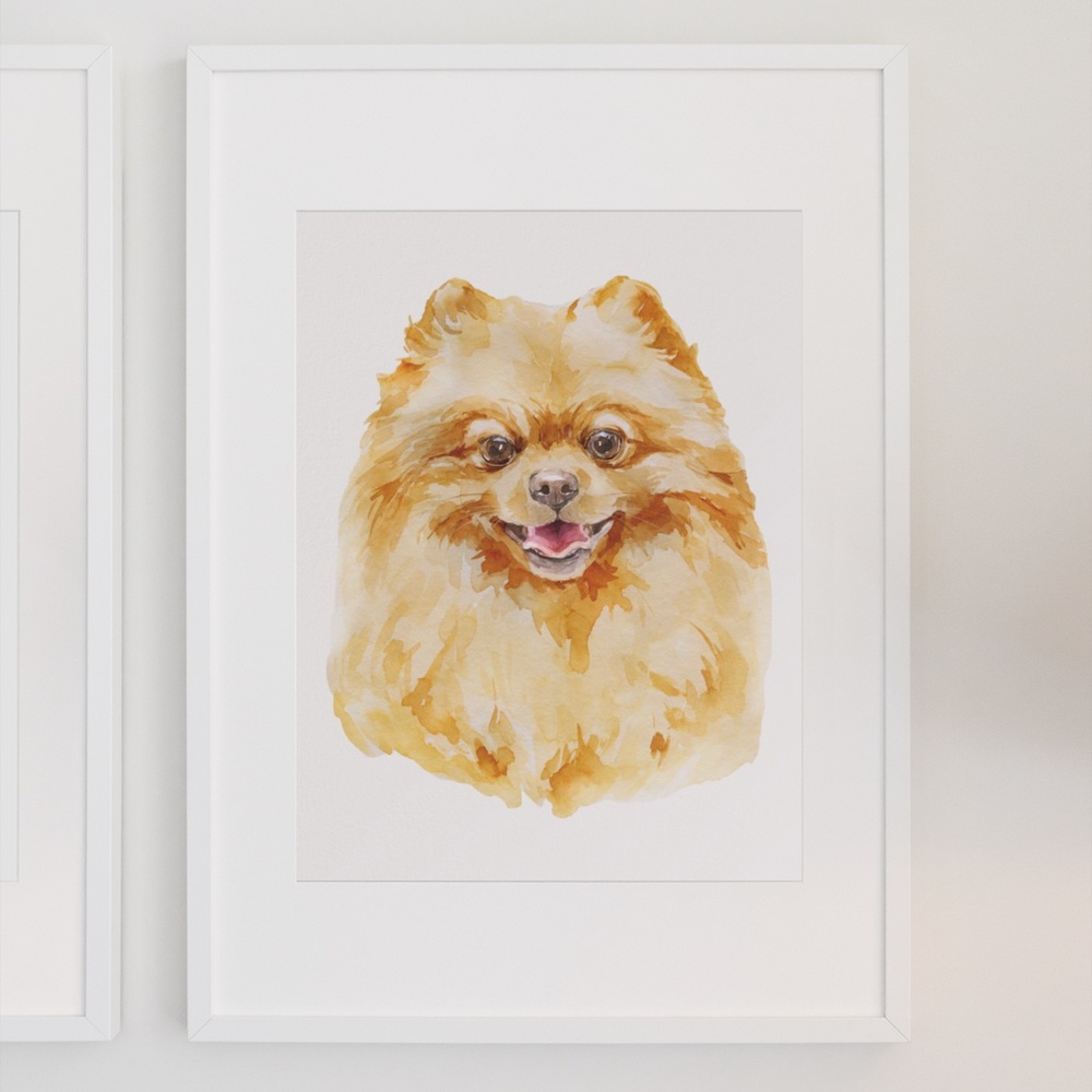 Watercolor Pomeranian Red Dog Wall Art Illustration Print Poster Card Unframed - Picture 7 of 7